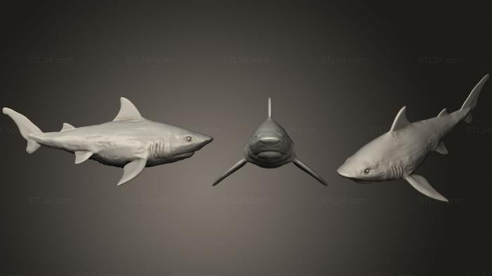 Статуэтки животных (Акула 8, STKJ_2456) 3D модель для ЧПУ станка